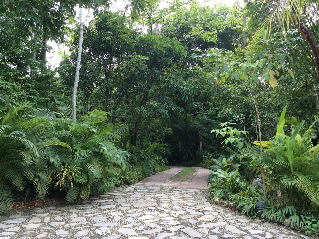 Hotel Boutique Quinta Chanabnal Palenque Eksteriør billede